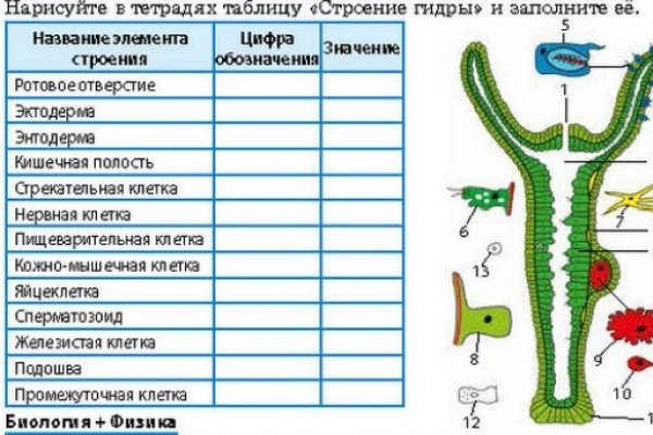 Кракен как зарегистрироваться